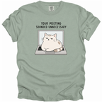 Your Meeting Sounded Unnecessary T-Shirt