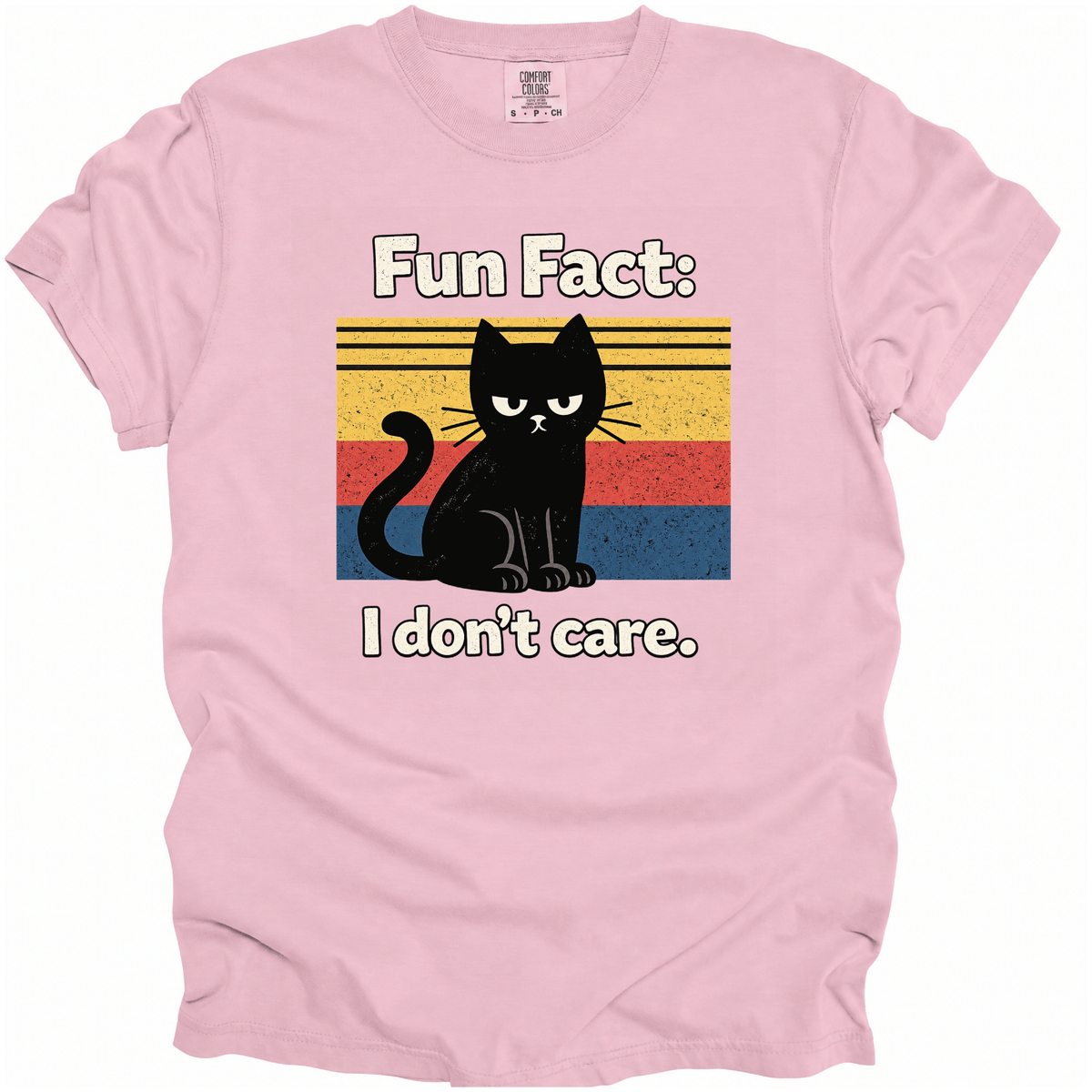 Fun Fact I Don't Care T-Shirt