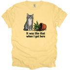 It Was Like That T-Shirt