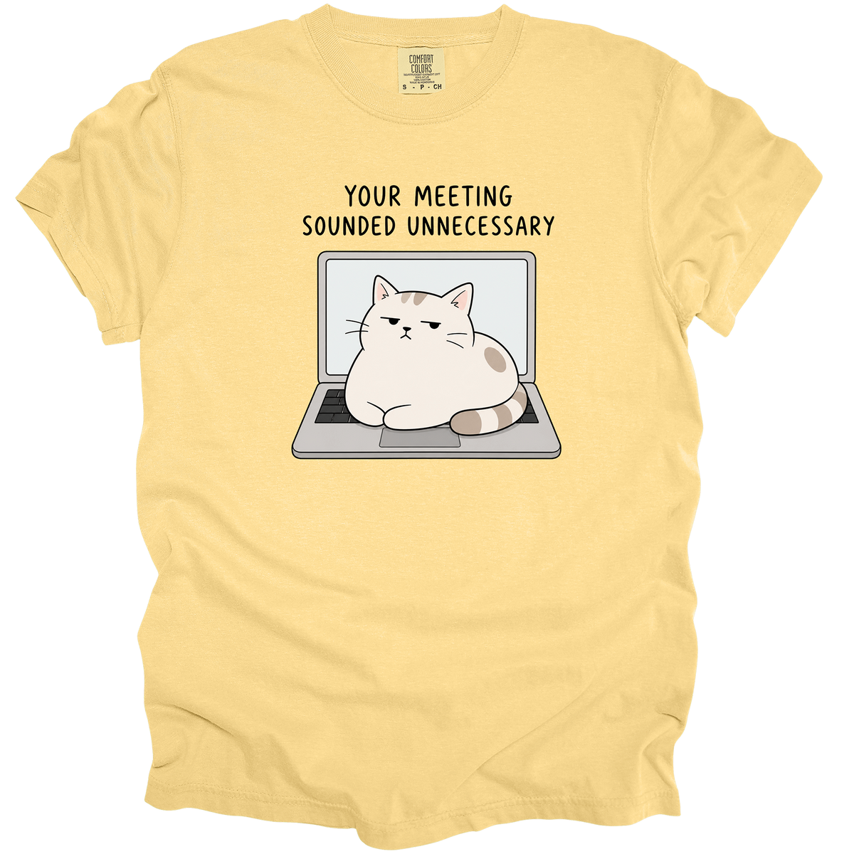 Your Meeting Sounded Unnecessary T-Shirt