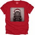 I Buried Elf on the Shelf T-Shirt