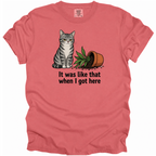 It Was Like That T-Shirt